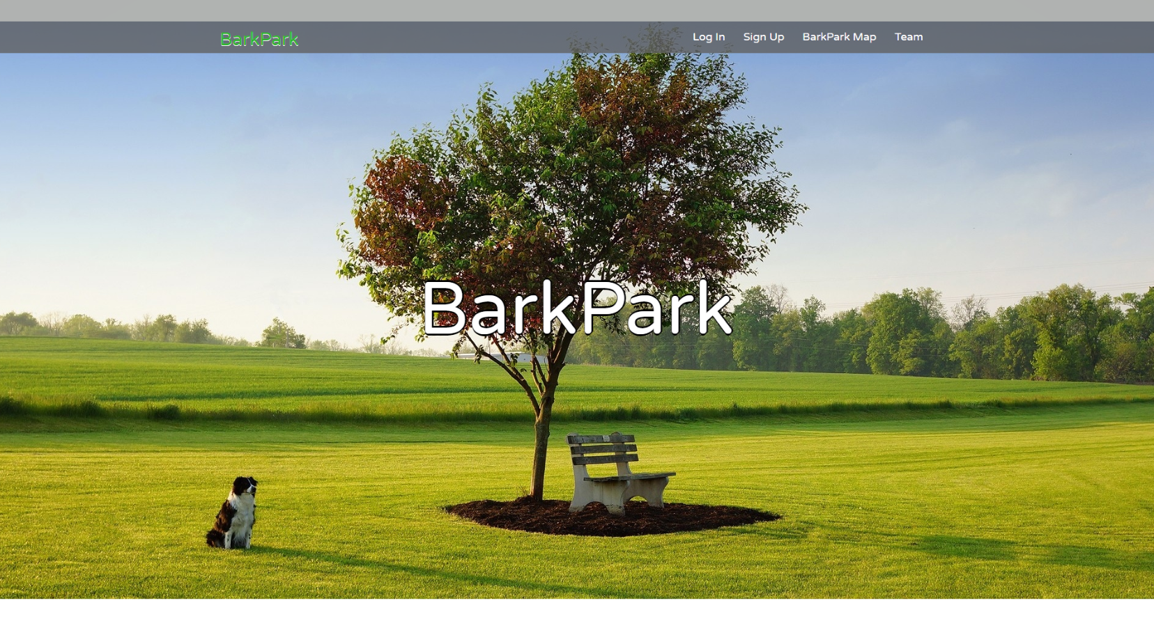 Bark Park